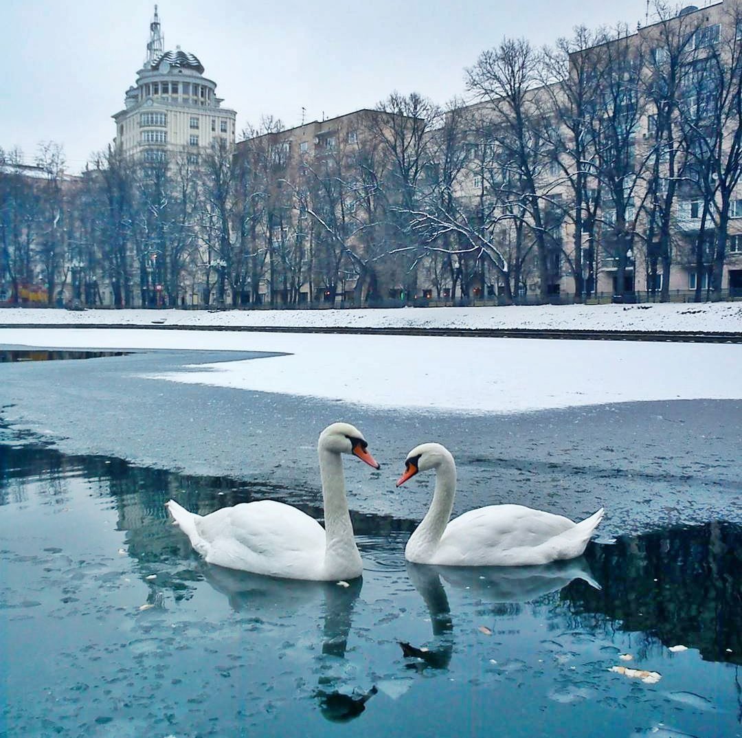 Патриаршие пруды Москва