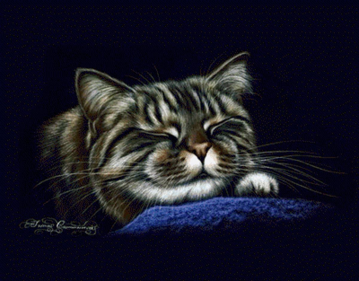 Картины Ирины Гармашовой коты