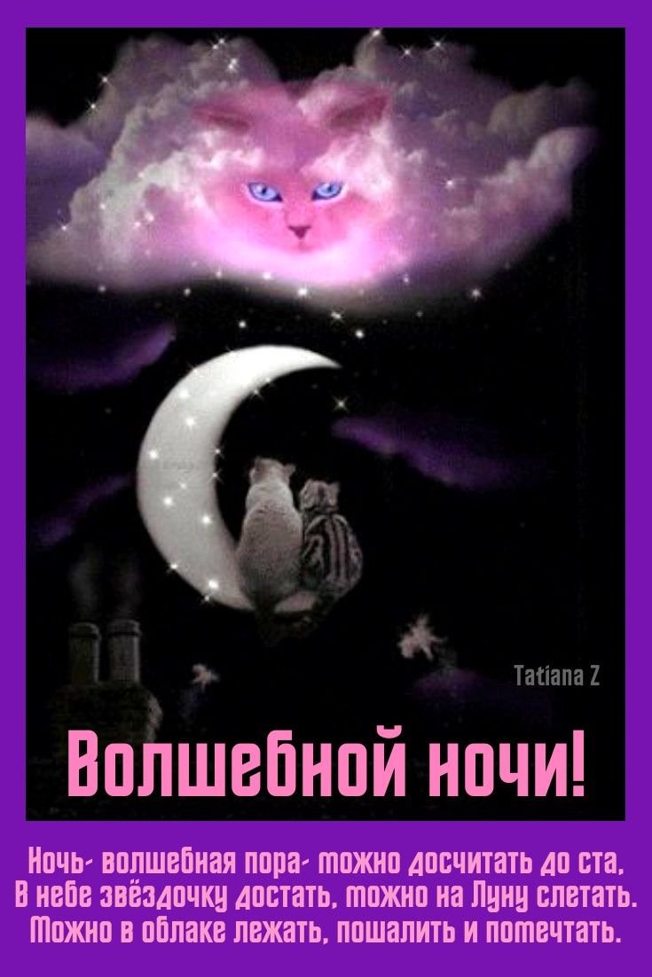Волшебный котик ночь