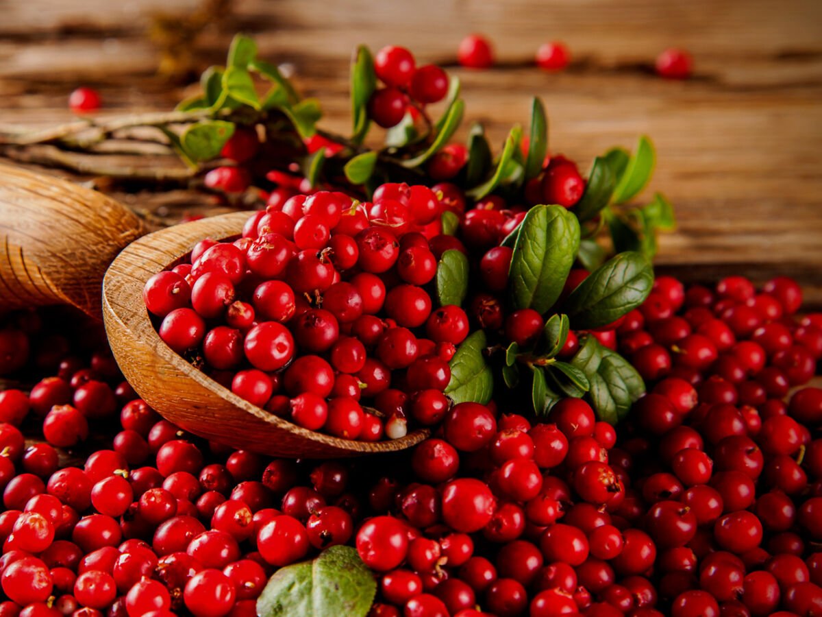 Ягоды брусника и клюква