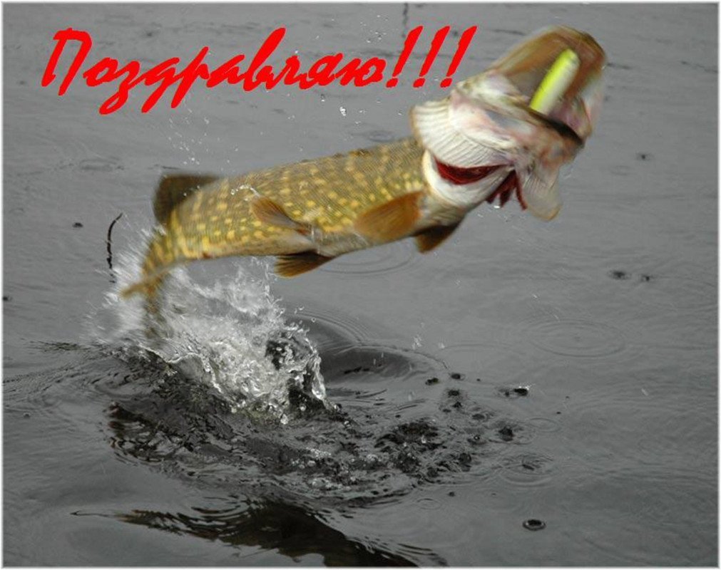 С днем рождения мужчине рыьаоке