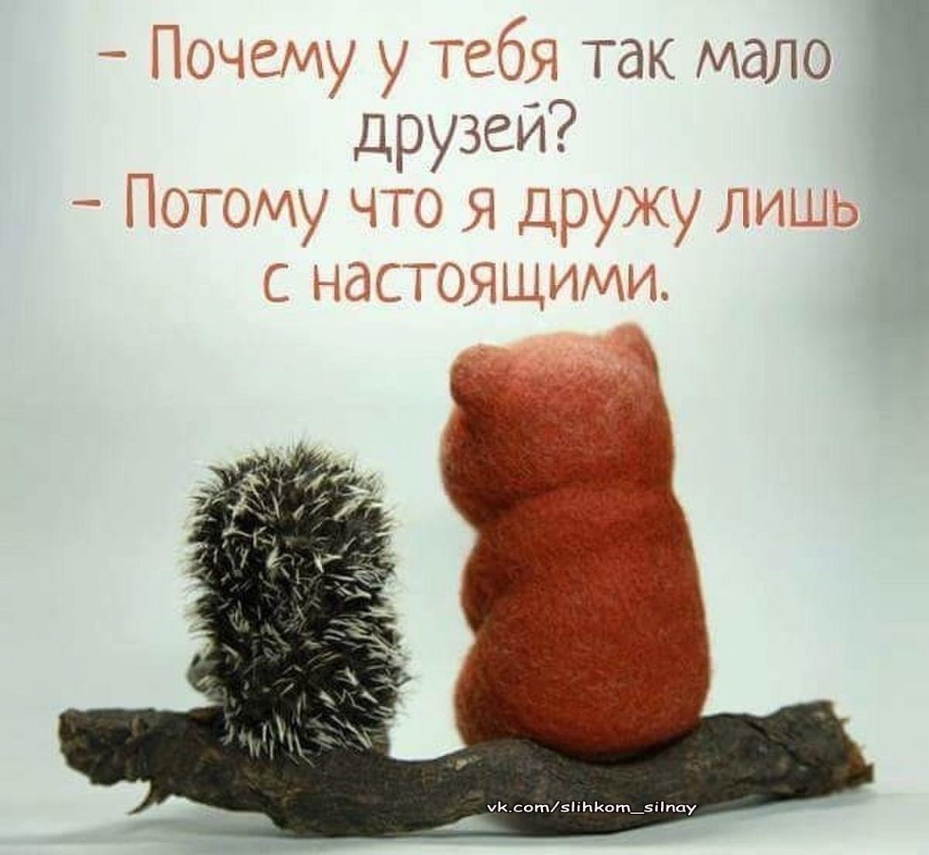 Желаю вам своего жадину который