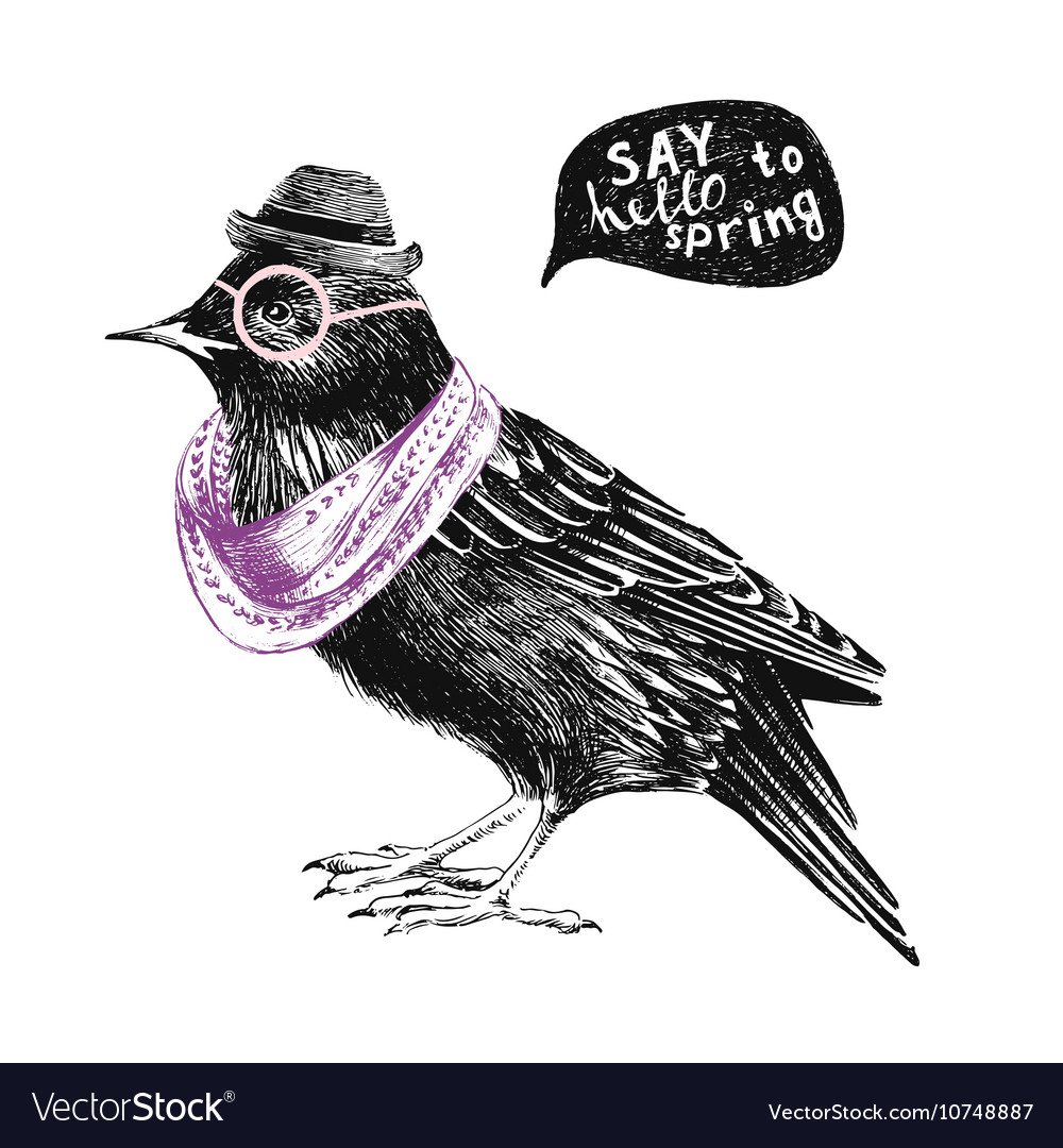 Птичка с желтым клювом