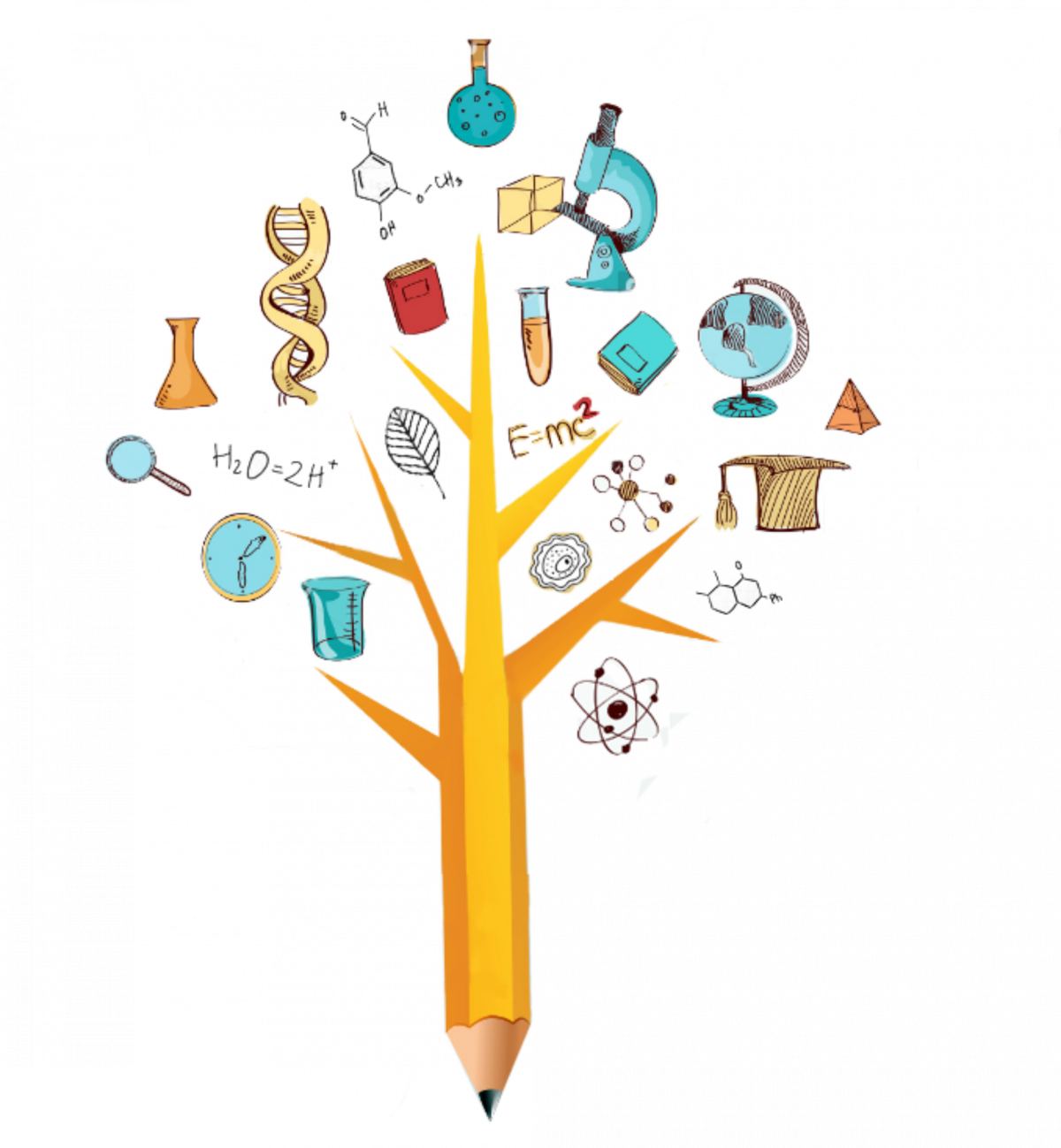 Школьное дерево