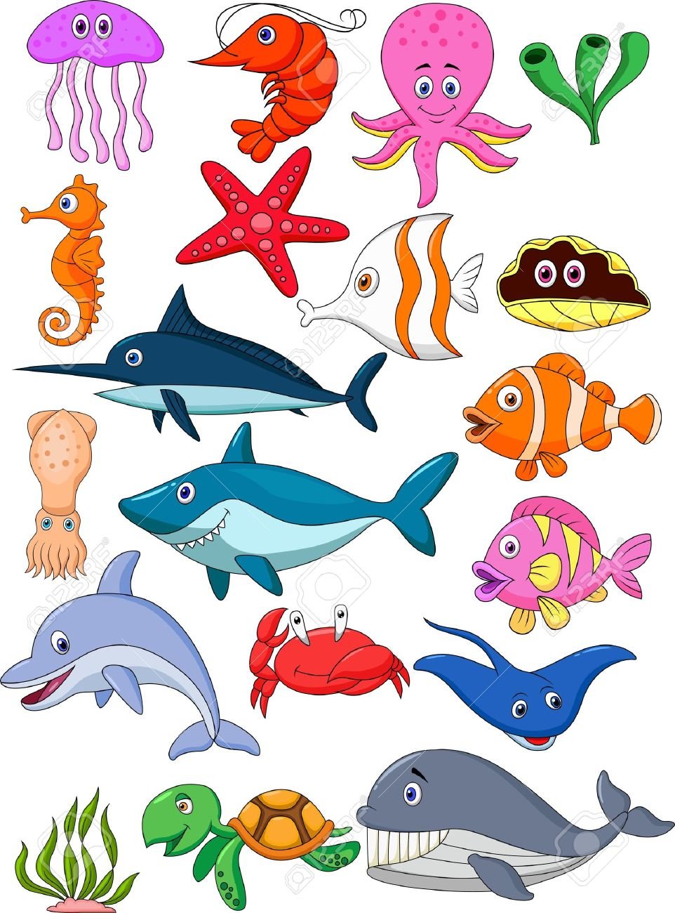 Морские животные для детей коралл