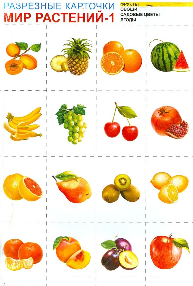 Овощи для вырезания для детей