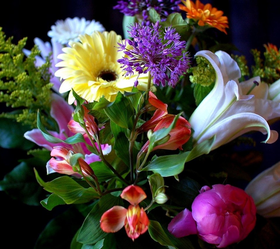 Лилии ночью