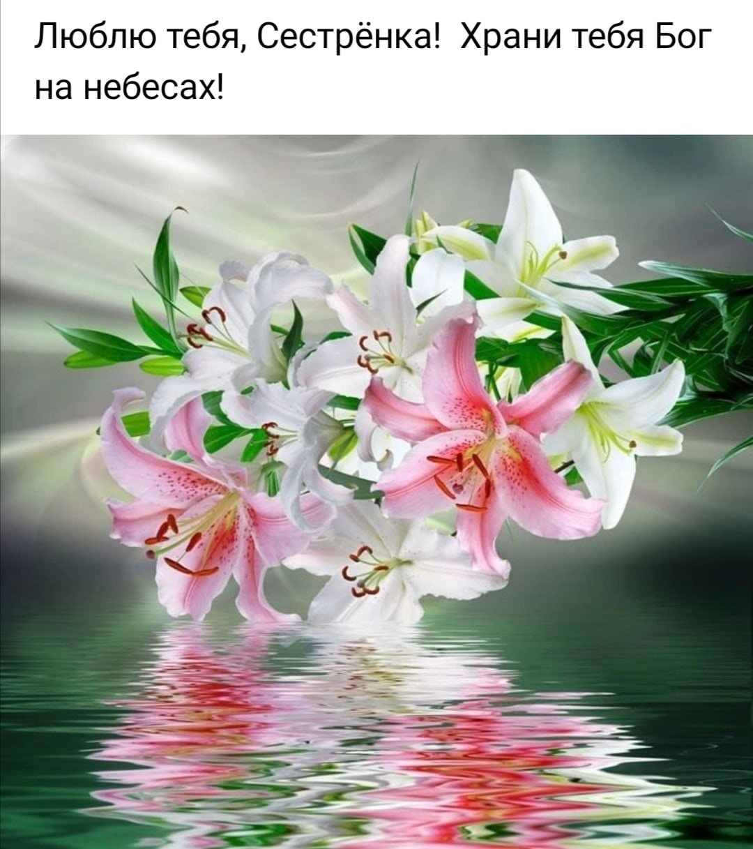 Прекрасный утренний букет