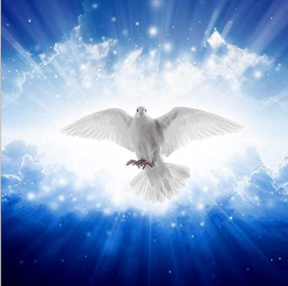 Свет внутри нас