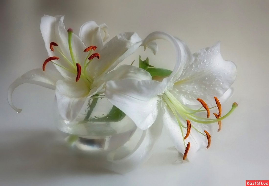 Открытка до.брый внчнр