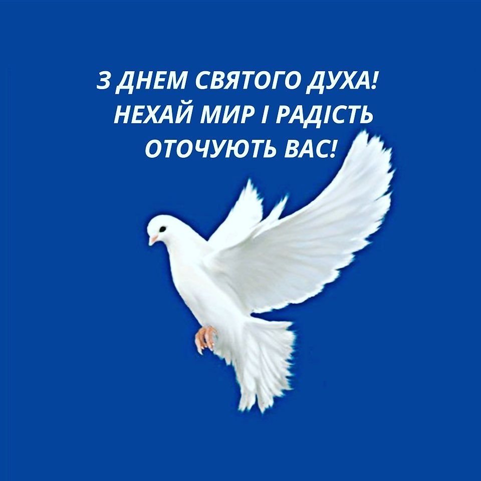 Святой дух икона голубь