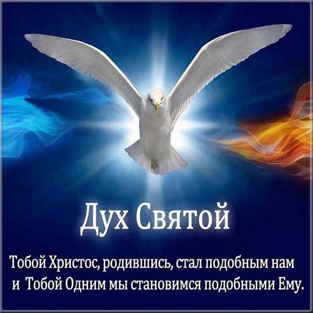 Со светлой Троицей