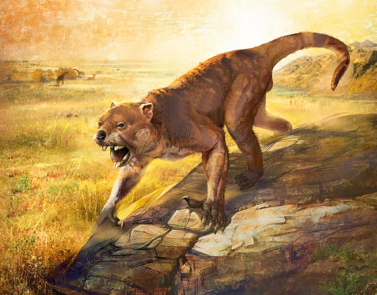 «Сумчатый Лев» (Thylacoleo)