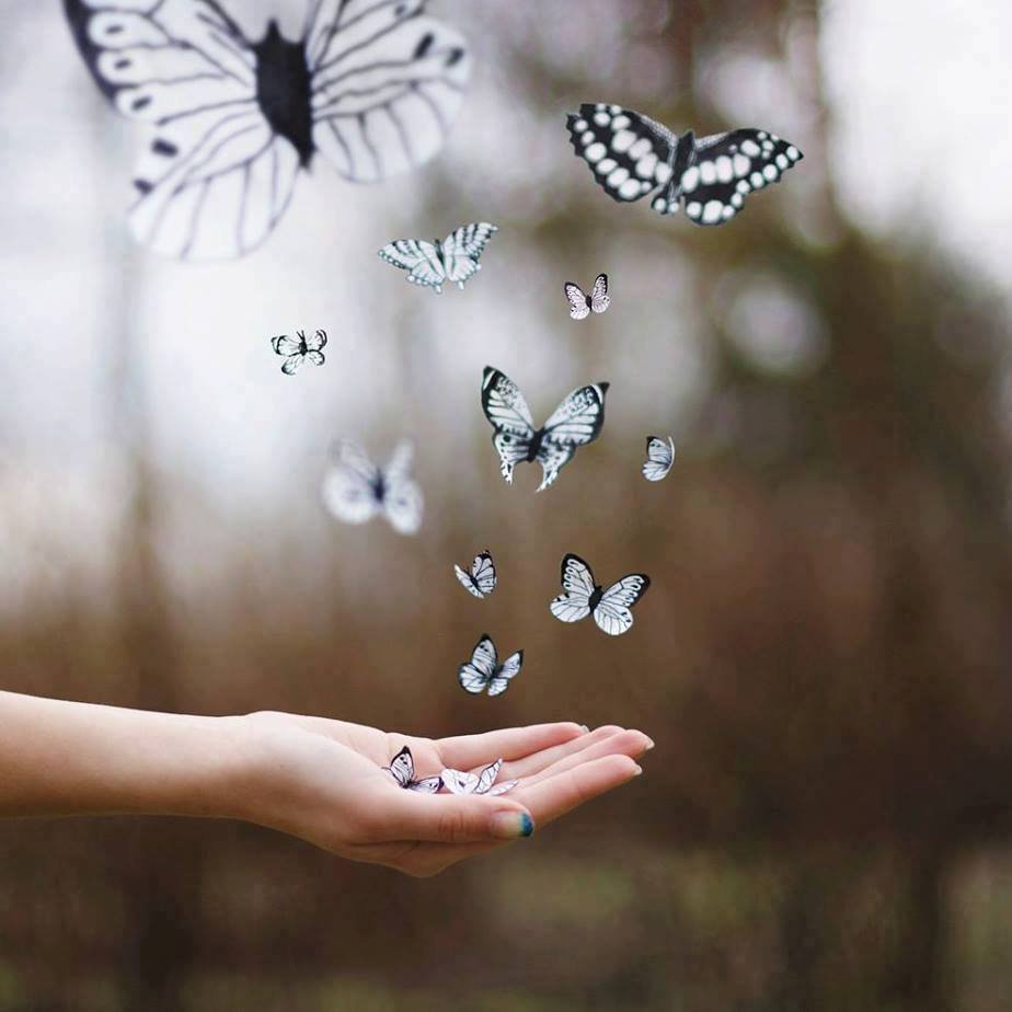 Девушка выпускает бабочек