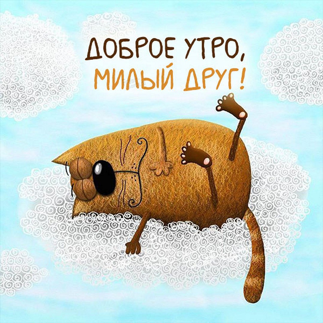 Смешные цитаты про выходные