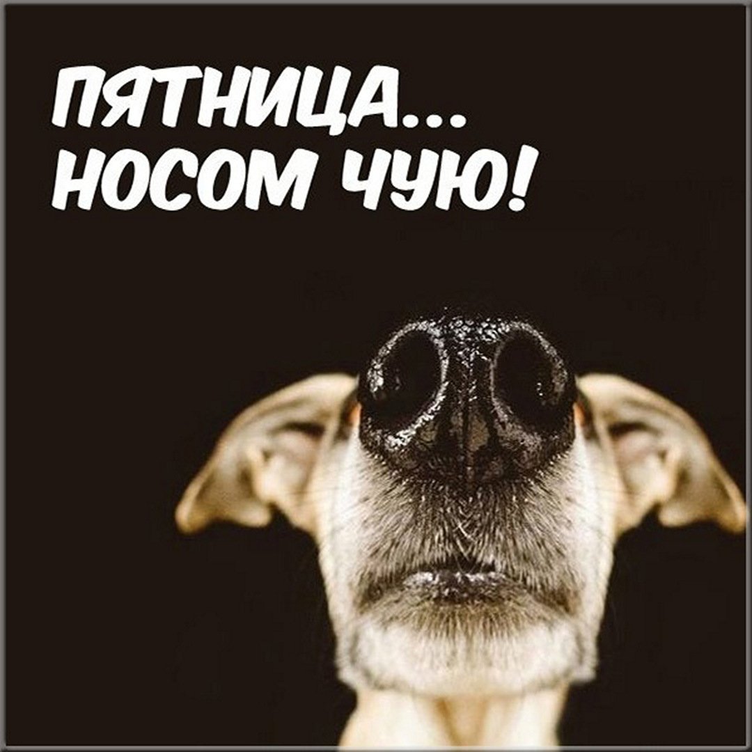 Цитаты про пятницу