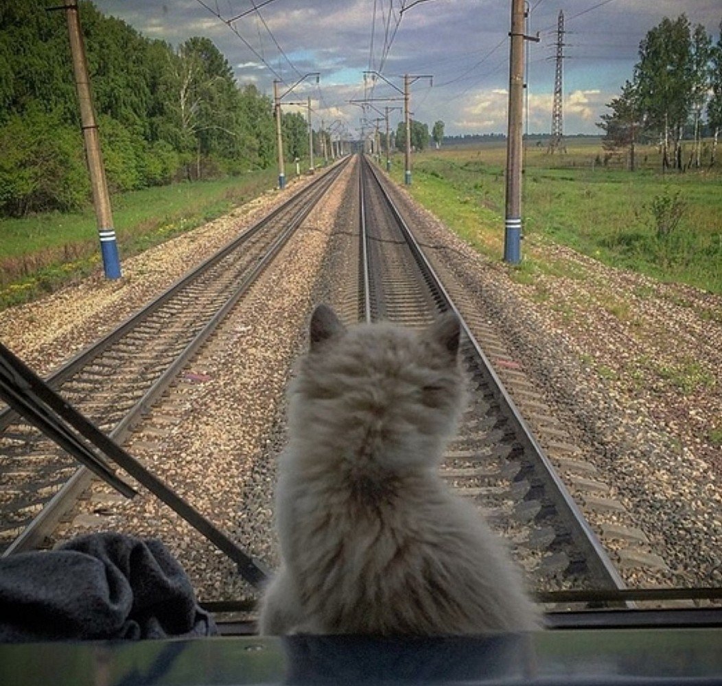 Доброе утро хорошей дороги