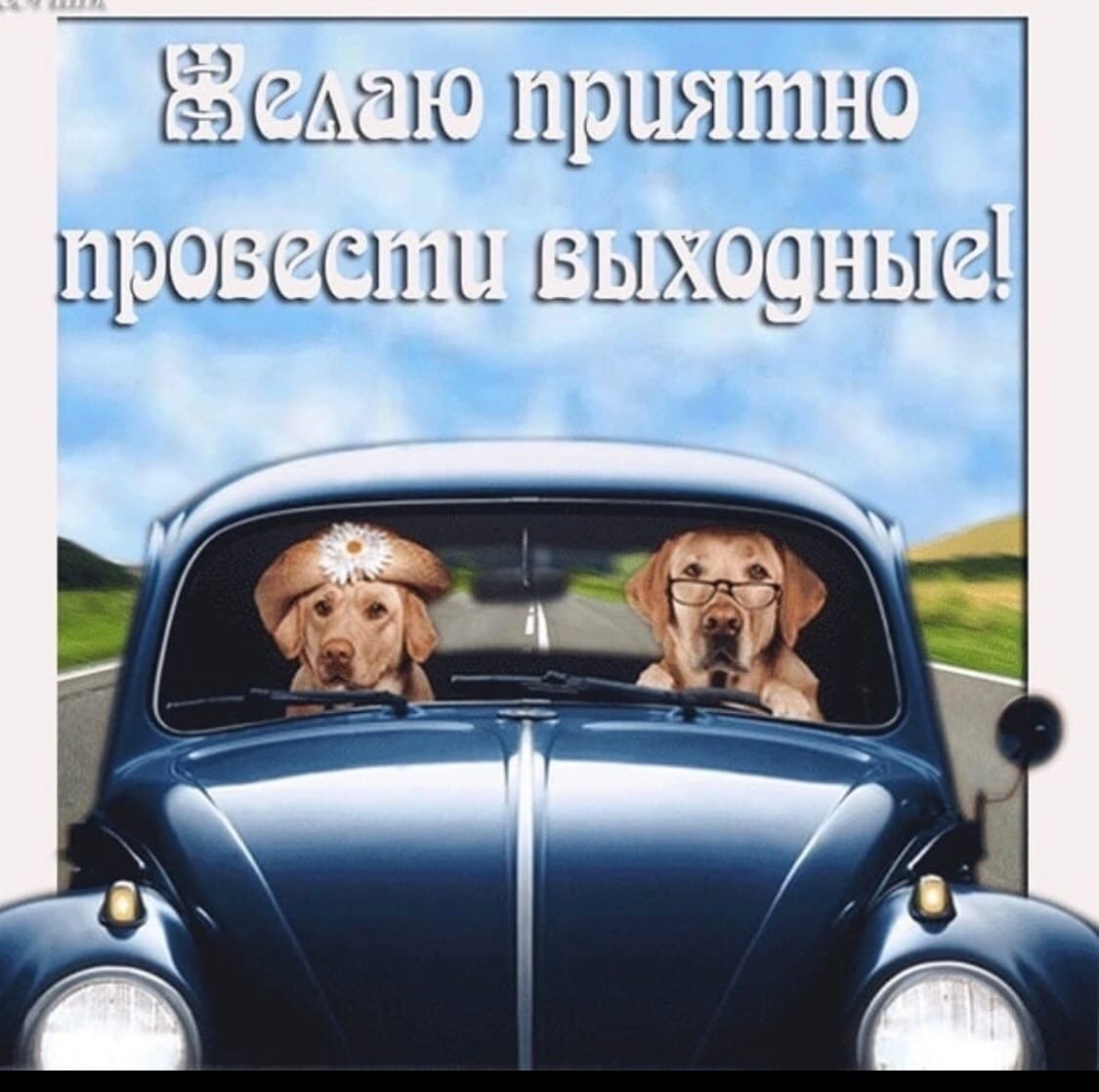 Сергей Макаров Зеленоград