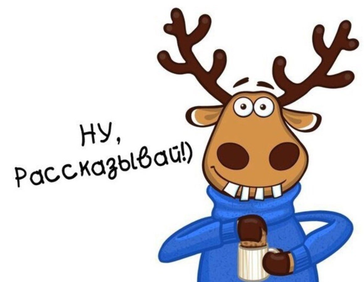 Олень из подслушано