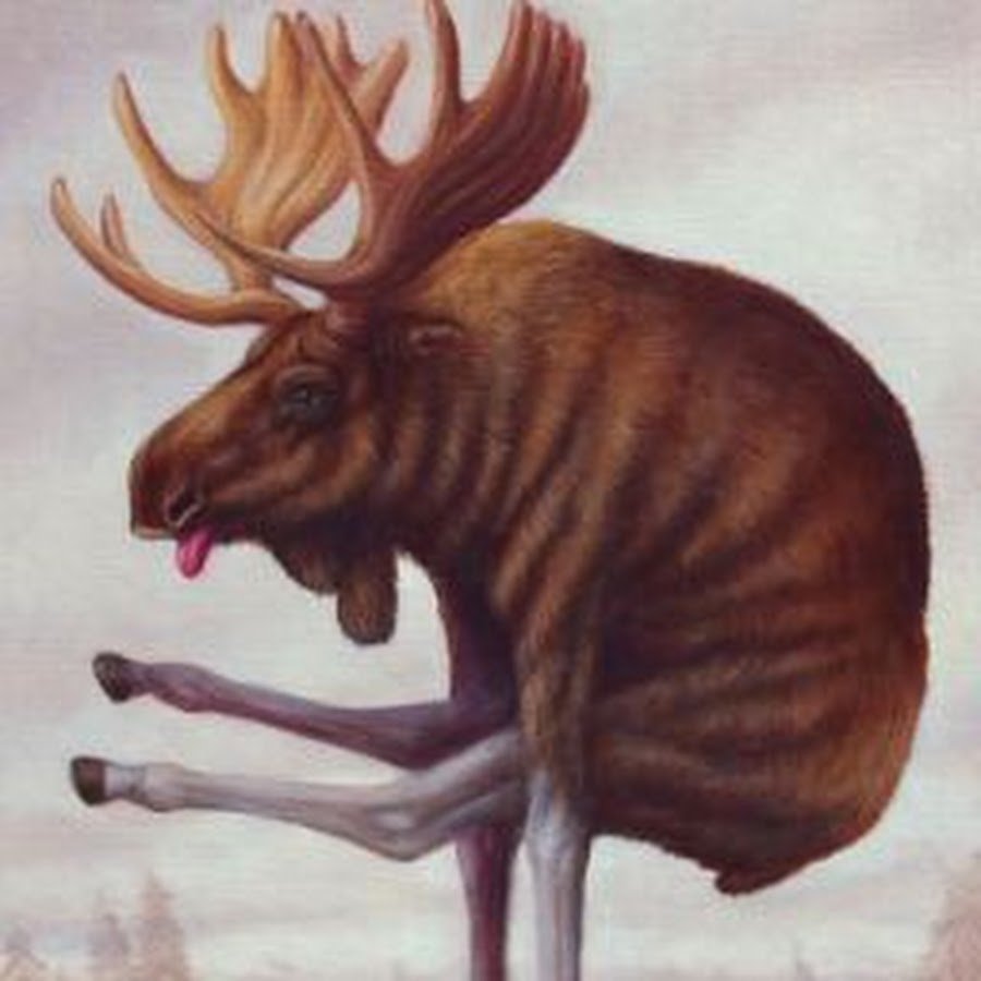 Бруно Понтироли коровы