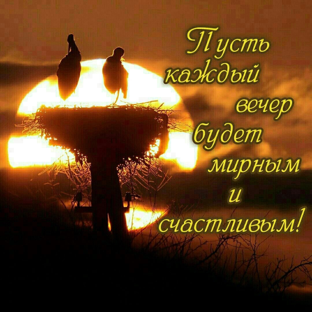 Доброй ночи до завтра