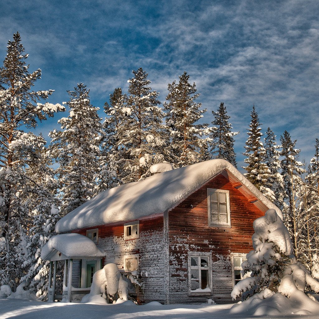 Тайга изба зима Карелия