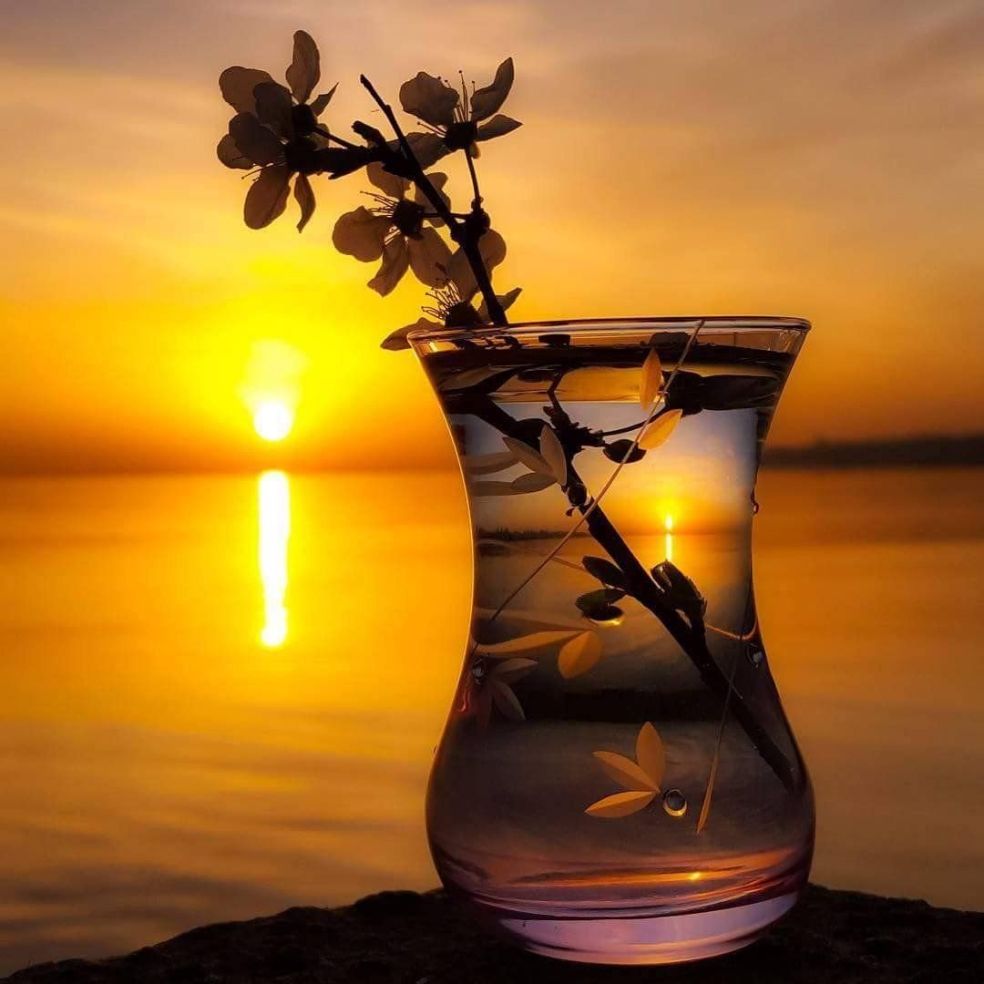 Хорошего дня стильные картинки с надписями