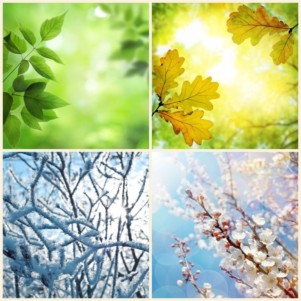 Фон 4 времени года