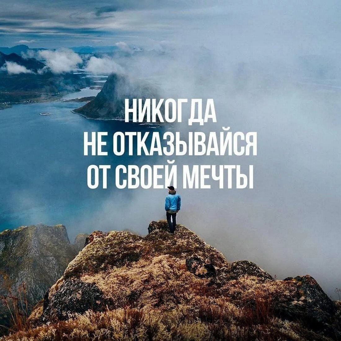 Свежие мемы