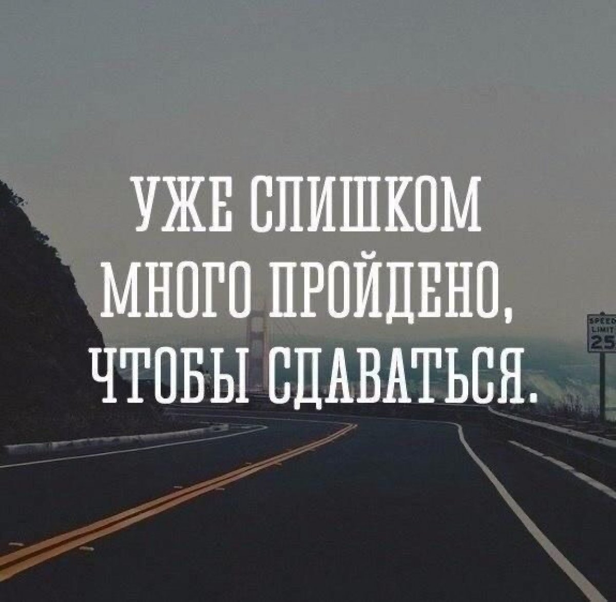 Мотивация цитаты