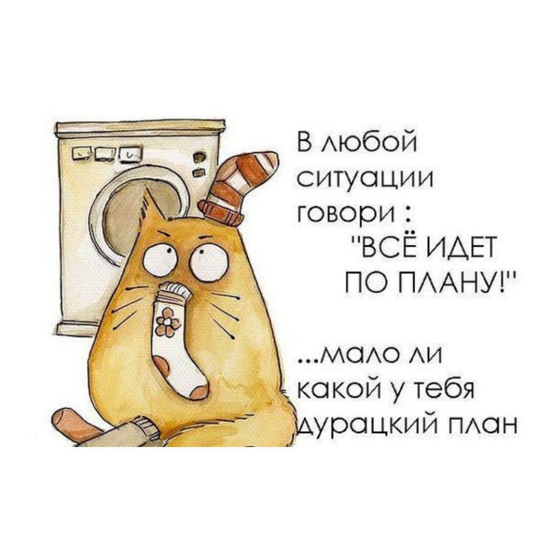 Цитаты про спорт