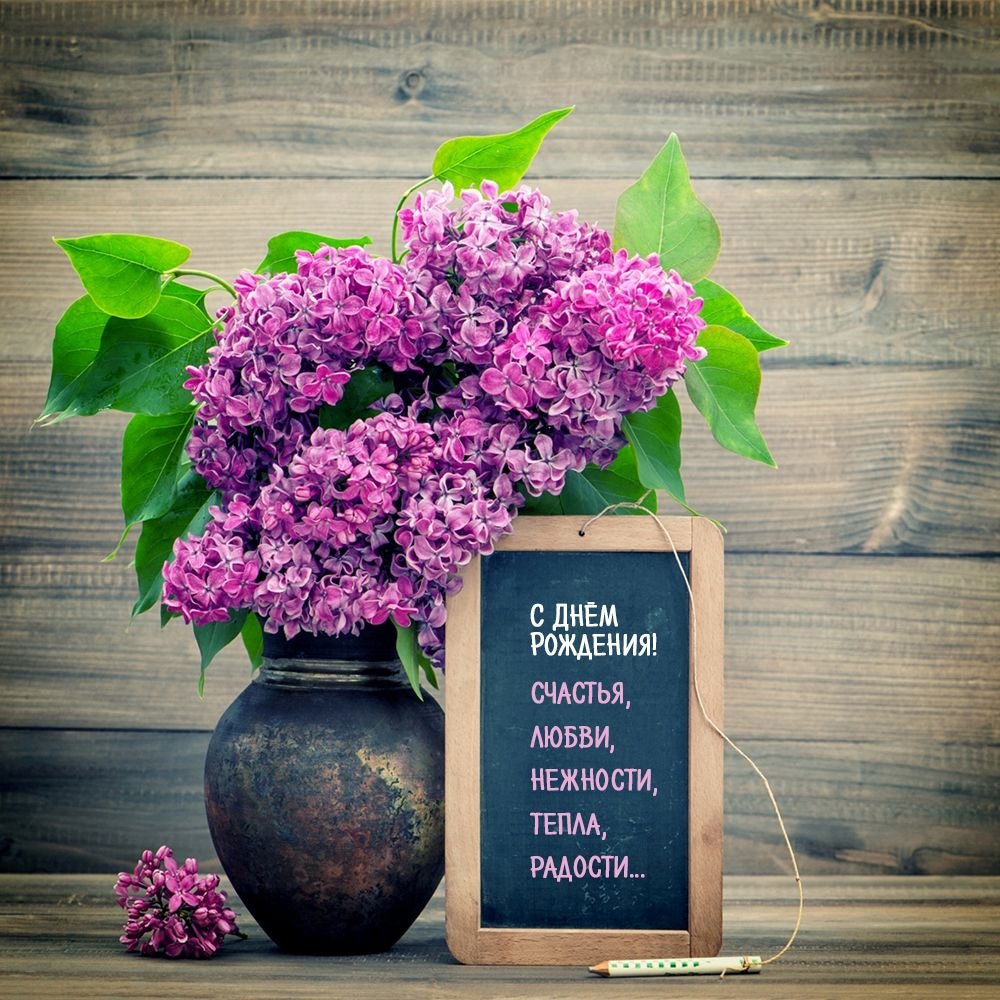 Сирень Дюк де масса