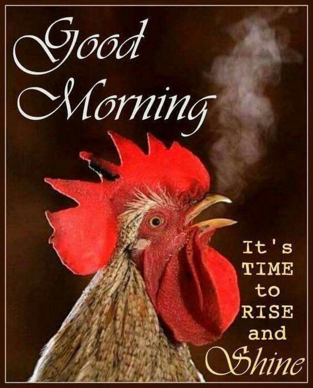 Желтый петух