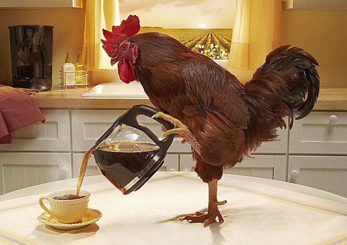 Георгий петухов Нижний Новгород