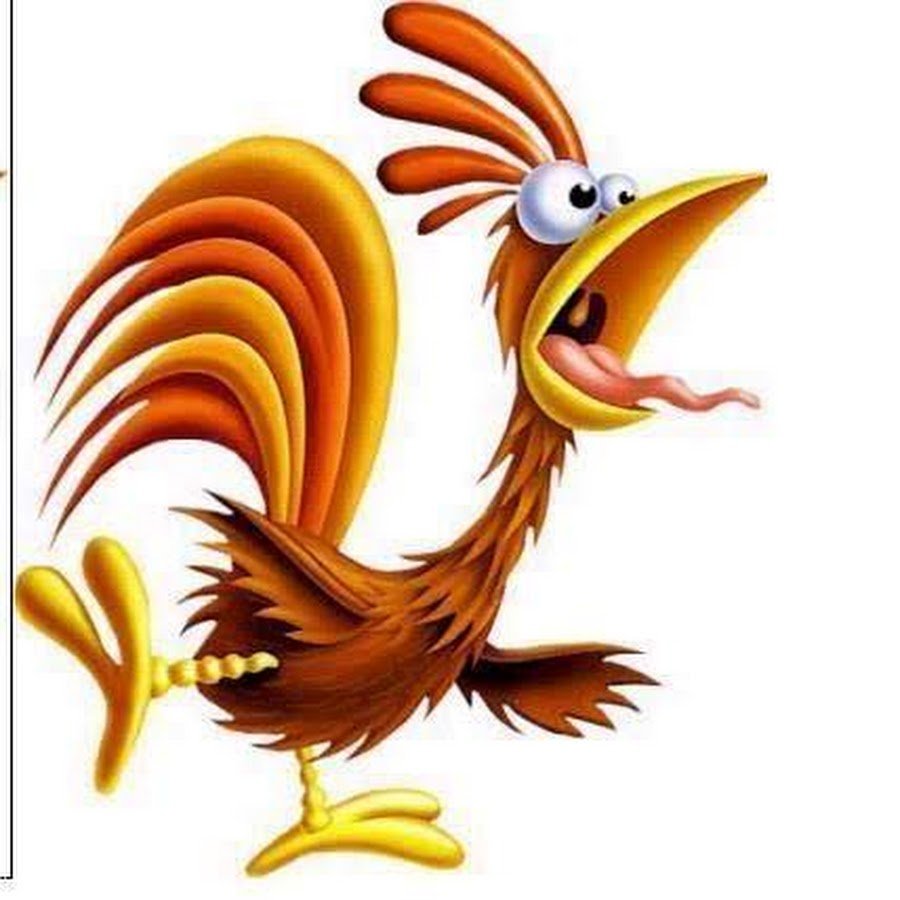 Петух на заборе в деревне