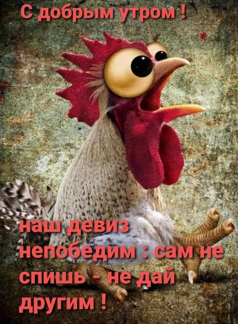 Художник -Китай фэн Инцзе