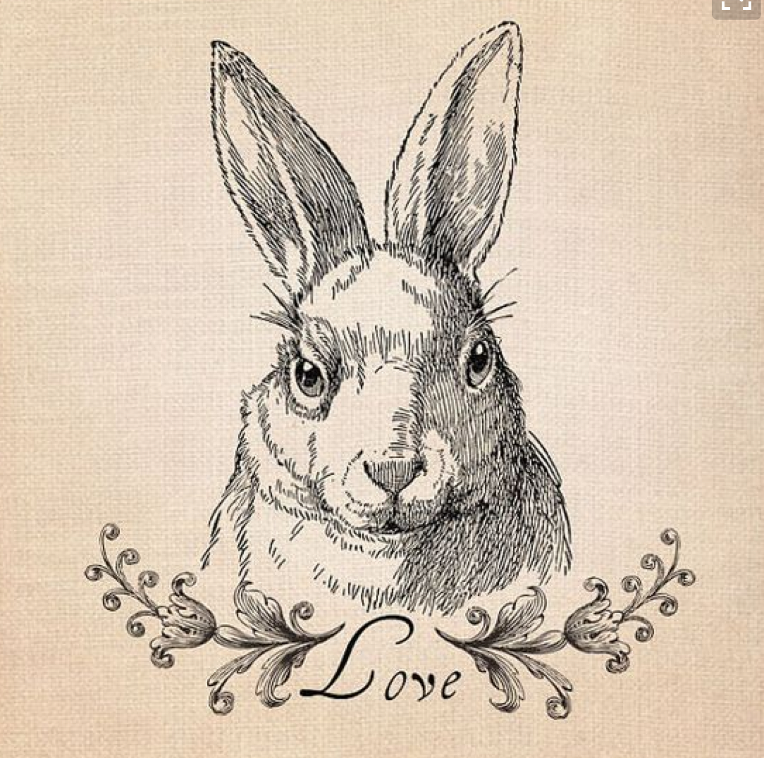 Монохром для декупажа кролик