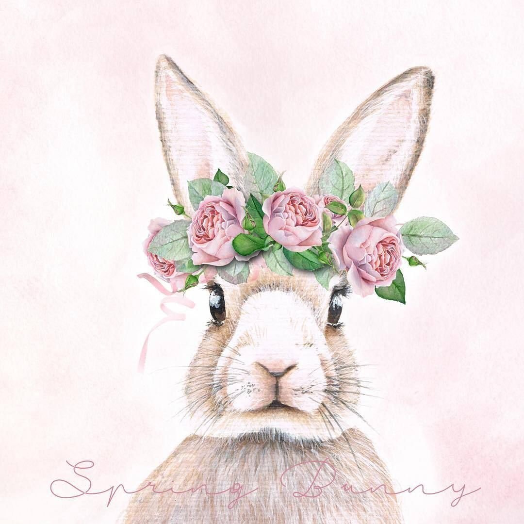 Марджолен Бастин иллюстрации кролик