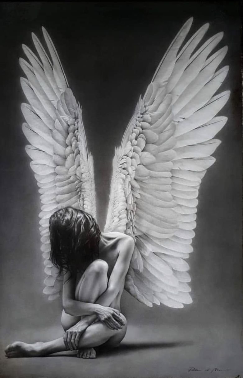 Красивая фраза про Крылья