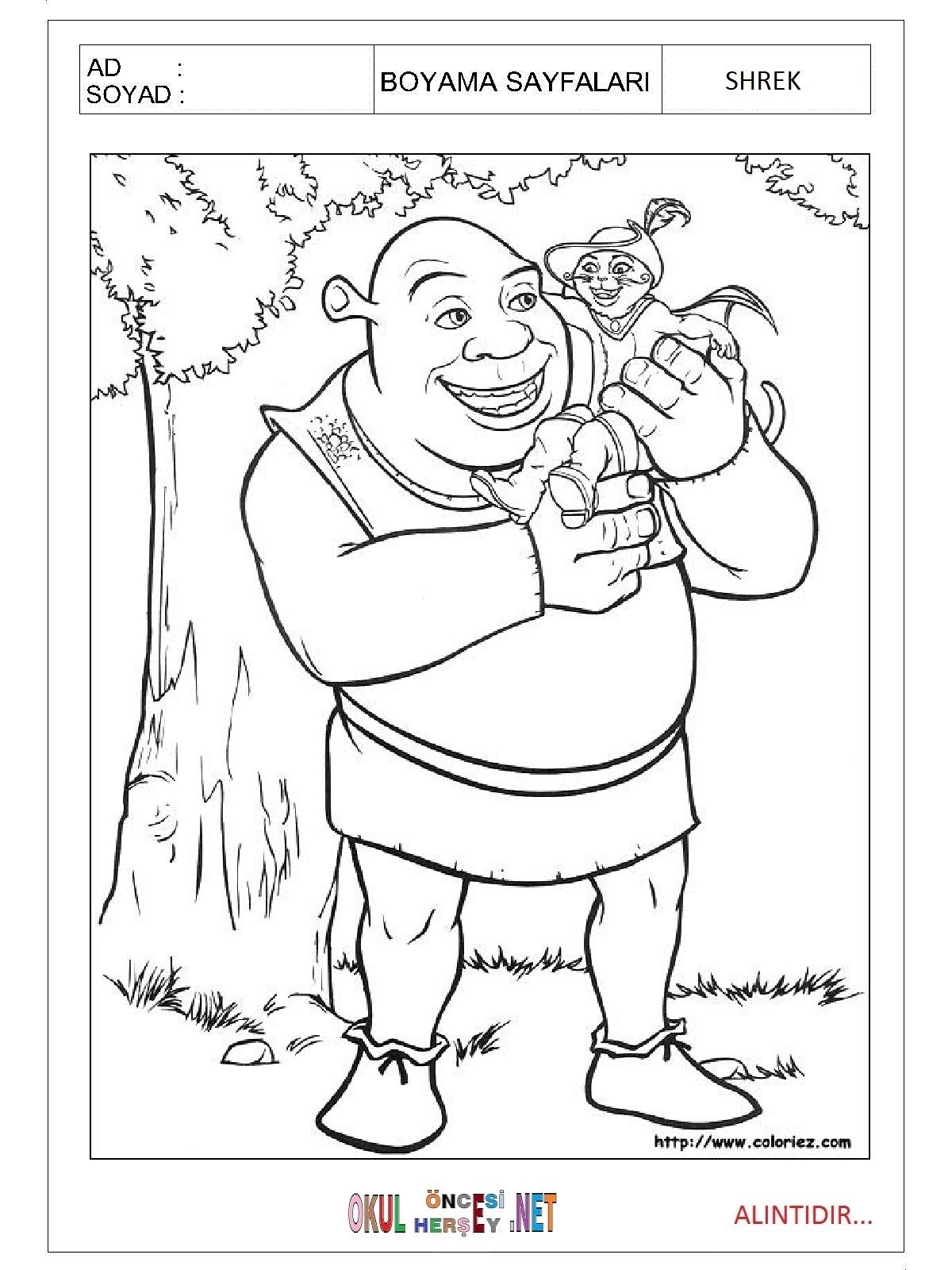 Принцесса Фиона раскраска