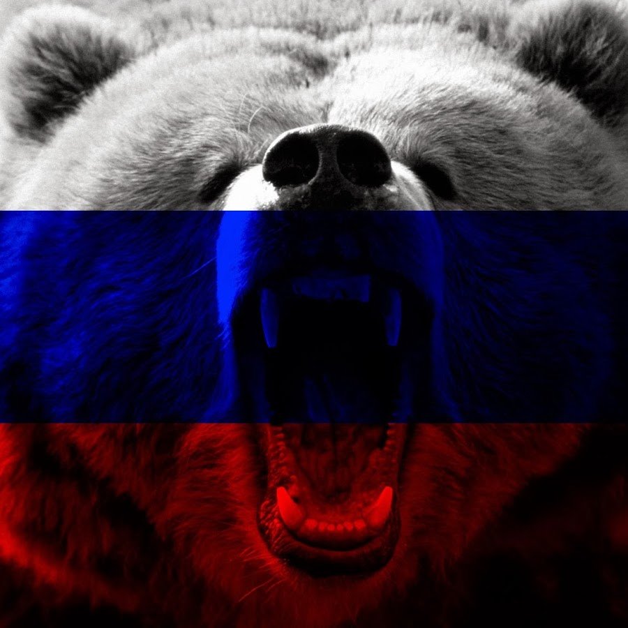 Медведь на фоне флага