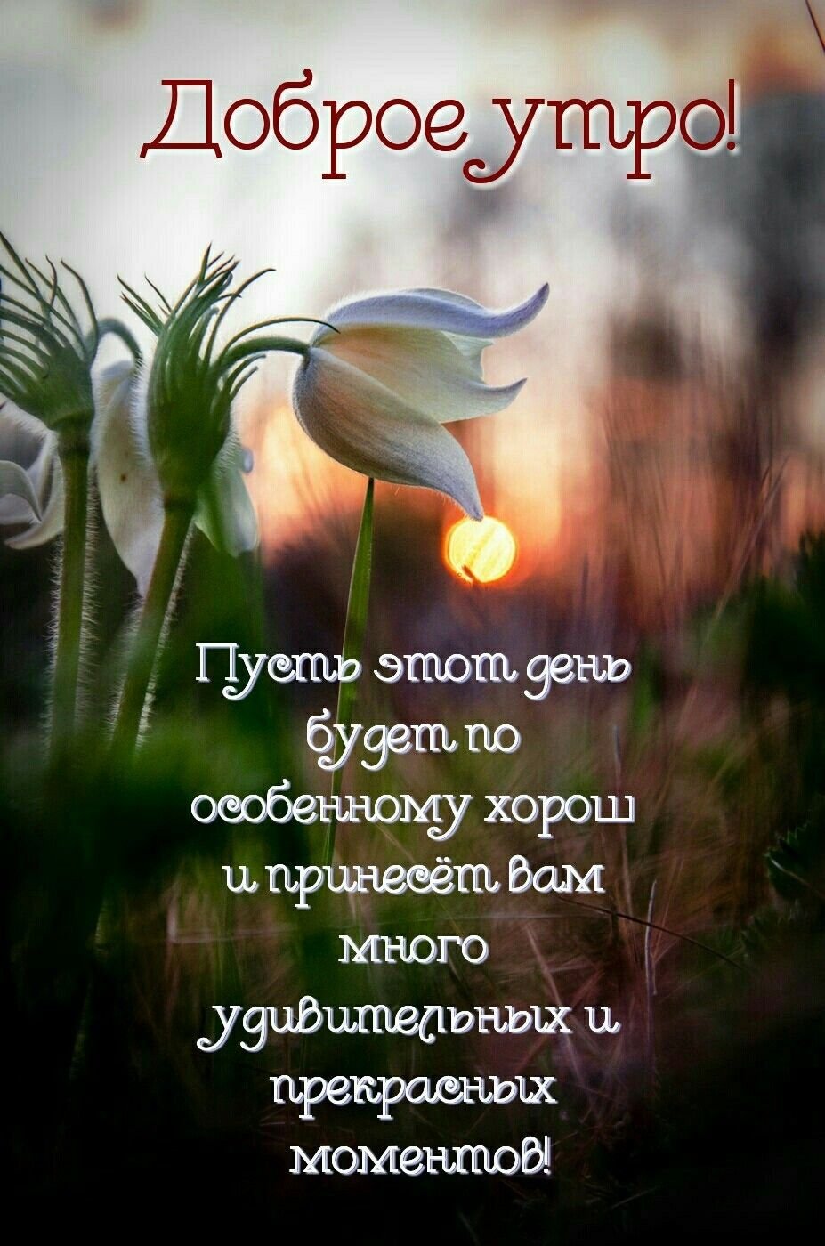 Добрые пожелания