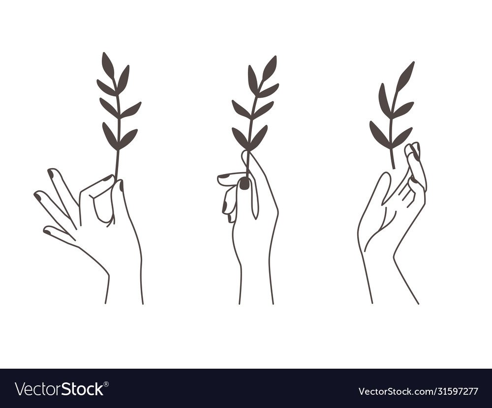 Рука с веточкой рисунок