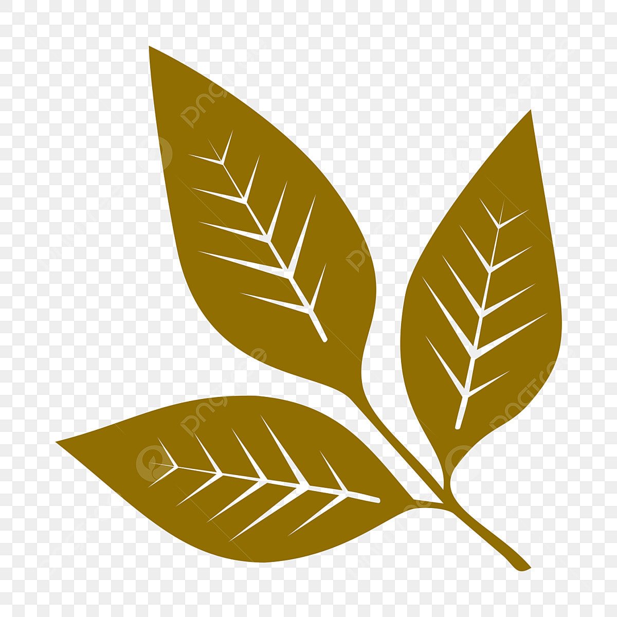 Векторный листочек веточка