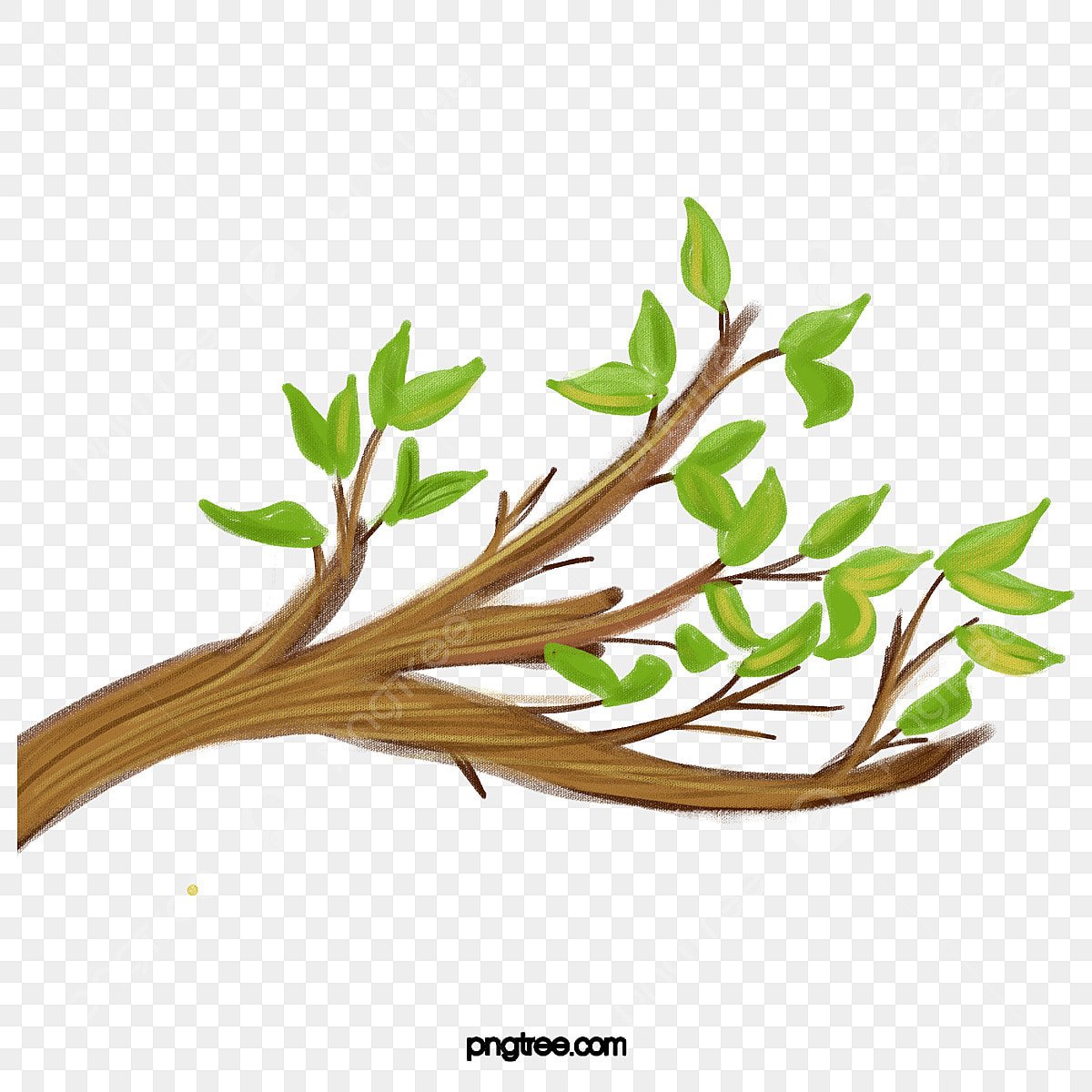 Ветка дерева мультяшная