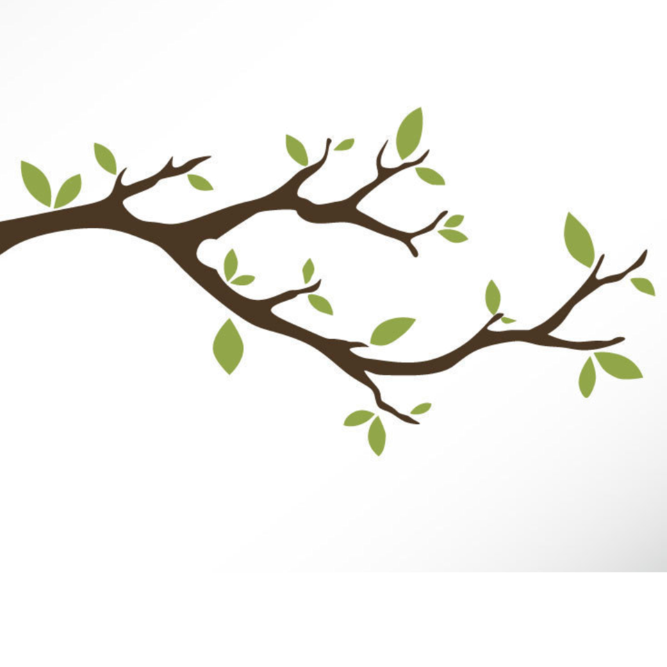 Ветка для аппликации