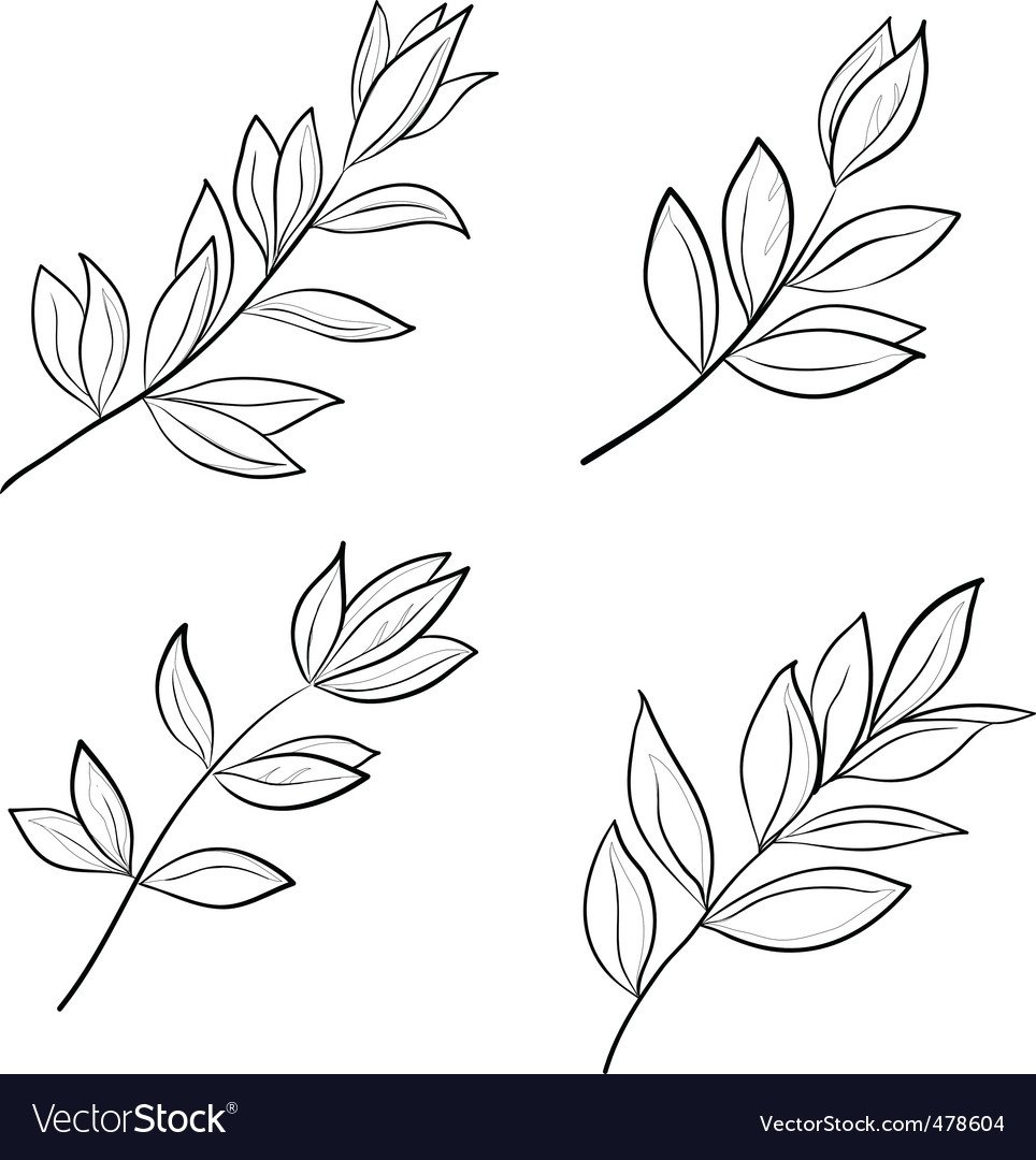 Веточка с листочками раскраска