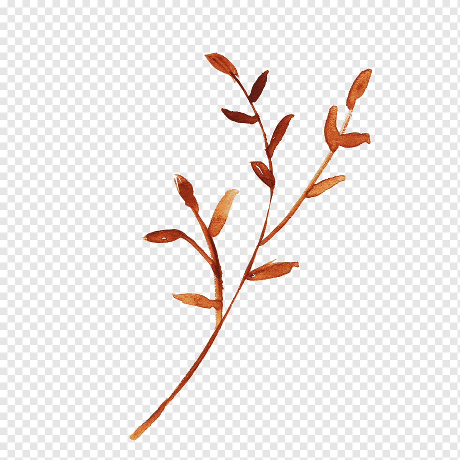 Коричневая ветка