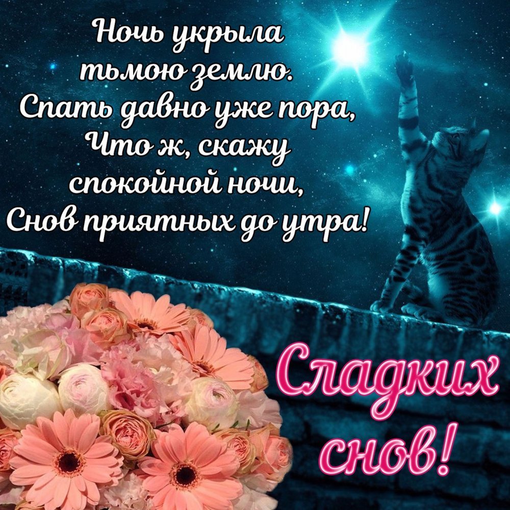 Спокойной ночи мишка