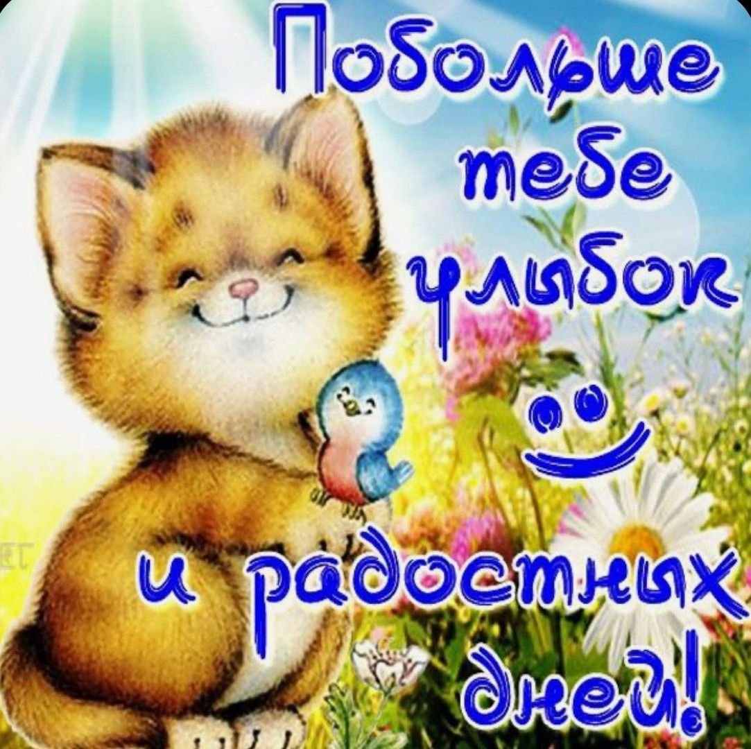 С днем рождения улыбнись